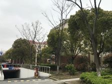 一年社保 尚师大 低总价 带装修中间楼层 南北通透