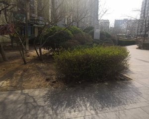 房主授意:此价格急售,看好可以面谈