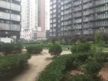 兰桂小区 1室1厅 南