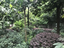 石桥铺 上方新人居一房35万