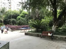 石桥铺好房急售,高性价比,看房方便