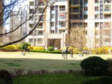 南北通透格局 精装修 小区绿化高 房主诚心出售