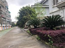 此房满五不唯一,户型方正格局通透,位置佳,采光好