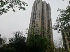 金林公馆北区 1室0厅 南 北