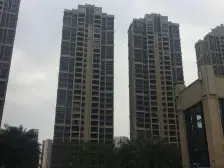 非凡领域 南向单位 两房全新毛坯 刚需户型