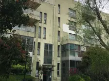 正对花园,顶复可装电梯,新刷外墙,有阁楼和露台