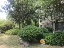 西城一品亮堂三房,满五没有贷款,诚心出售,价格可谈