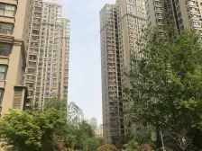 好楼层 好楼栋 光线好 改善三房 三代同堂