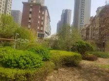 红星大厦边户 采光好 户型方正 视野好 诚意出售