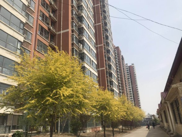 西山绿岛实景图