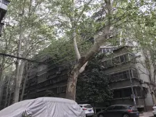 郑大校园里 中低楼层 停车方便