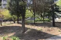 政怡家园实景图