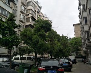 朝阳洲江滩公园怡滨花苑复式楼两房带露台