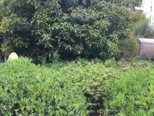 安亭新镇赋苑4室东朝向500.00万元/套出售