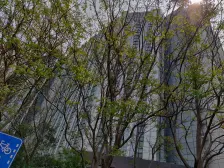 上聚源路 少有边户 中间楼层 精装修 地铁口