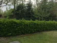 安亭新镇赋苑3室东朝向480.00万元/套出售