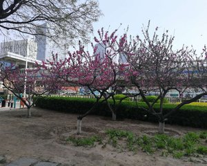 通州北苑,南北两居室,交通便利,急售