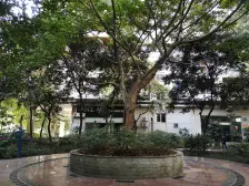 世纪阳光小区(南岸) 3室2厅 东南