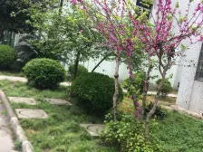 紫荆二村,临近地铁,满五年,商业繁华,配套成熟,低总价