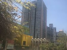 草桥玺萌丽苑1室1厅 高层 满5年一套,诚意出售