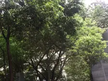 南坪 奥创卡门时光一房37万