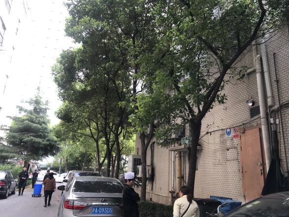 天和苑实景图