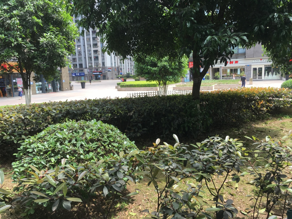 【重庆望江阁小区,二手房,租房 重庆房天下