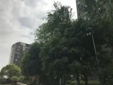 保亿丽景紫园2期公园ONE 3室2厅 南 北