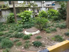 双南两房,不靠马路,户型正气,产权清晰,满五年,诚意出售