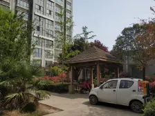 郑大北门,大平层,改善户型,中高楼层