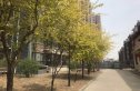 西山绿岛实景图