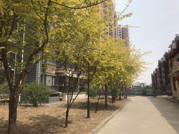 西山绿岛实景图