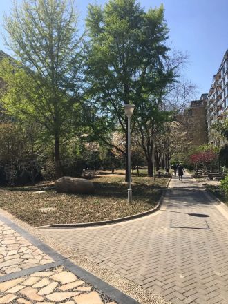 山水文园中园实景图