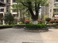 大两室诚心卖 小区环境不错 每个房间都有窗户