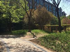 山水文园一期不临街顶层复式双厅挑空看房方便