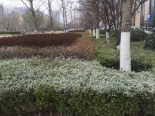 深蓝中心 会展 和平精装修 房子*