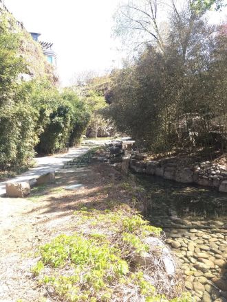 山水文园中园实景图