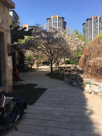 山水文园中园实景图