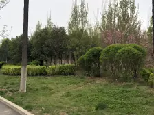 蝴蝶广场 天马大两室 位置好 房主诚心出售 价格可议