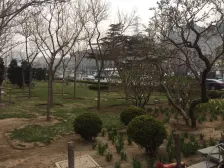 和平现代城 户型好 视野好 南向 70年