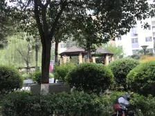 鑫苑物业 朝南一室 价格低 业主诚意出售