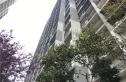 新界实景图