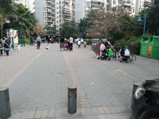 福湾新城秋月苑 1室1厅 南