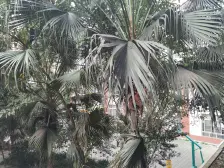 南坪 天龙广场三期一房33.2万