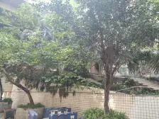 南坪 天龙广场三期一房28.5万