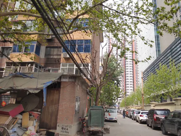 河东北大院实景图
