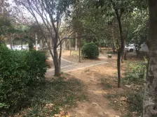 三环内中间楼层双卫大三房五号线地铁口