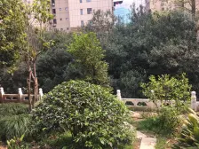 内环边电梯高区+东边套南北通全明!居家适宜诚心出售!!