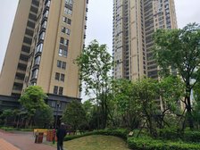 浦上桥头,真端头小三房,视野丫霸,毛坯可随意装修