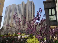 香橙 商品房小高层带车位 东打头